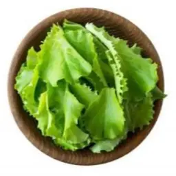 شرائح الخس